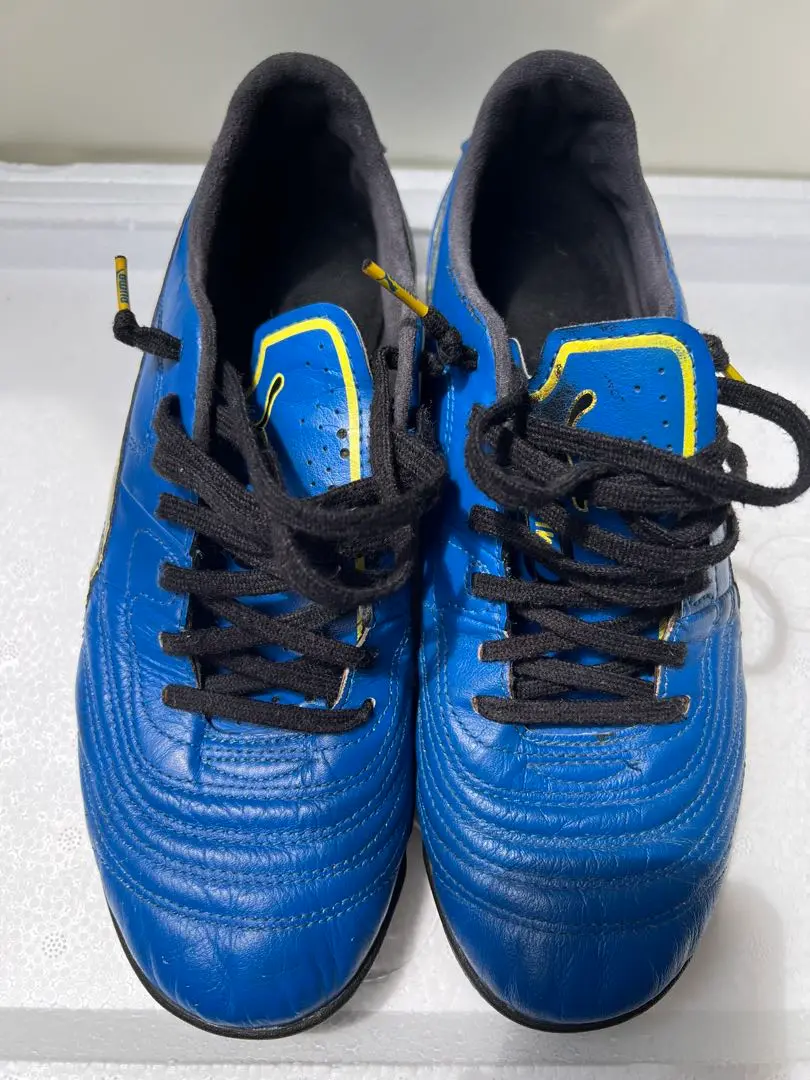 PUMA パラメヒコ　フットサル　28cm プーマ（PUMA）（メンズ）サッカーインドアトレーニングシューズ