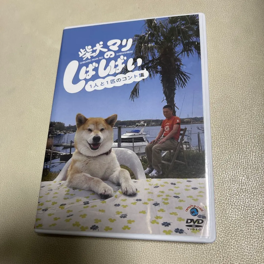 2025年最新】柴犬マリのしばしばい〜1人と1匹のコント集〜 dvdの