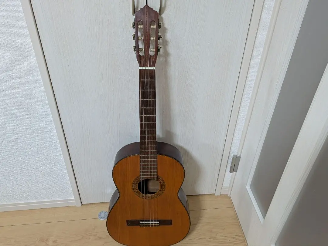 2025年最新】SHINANO GUITARの人気アイテム - メルカリ