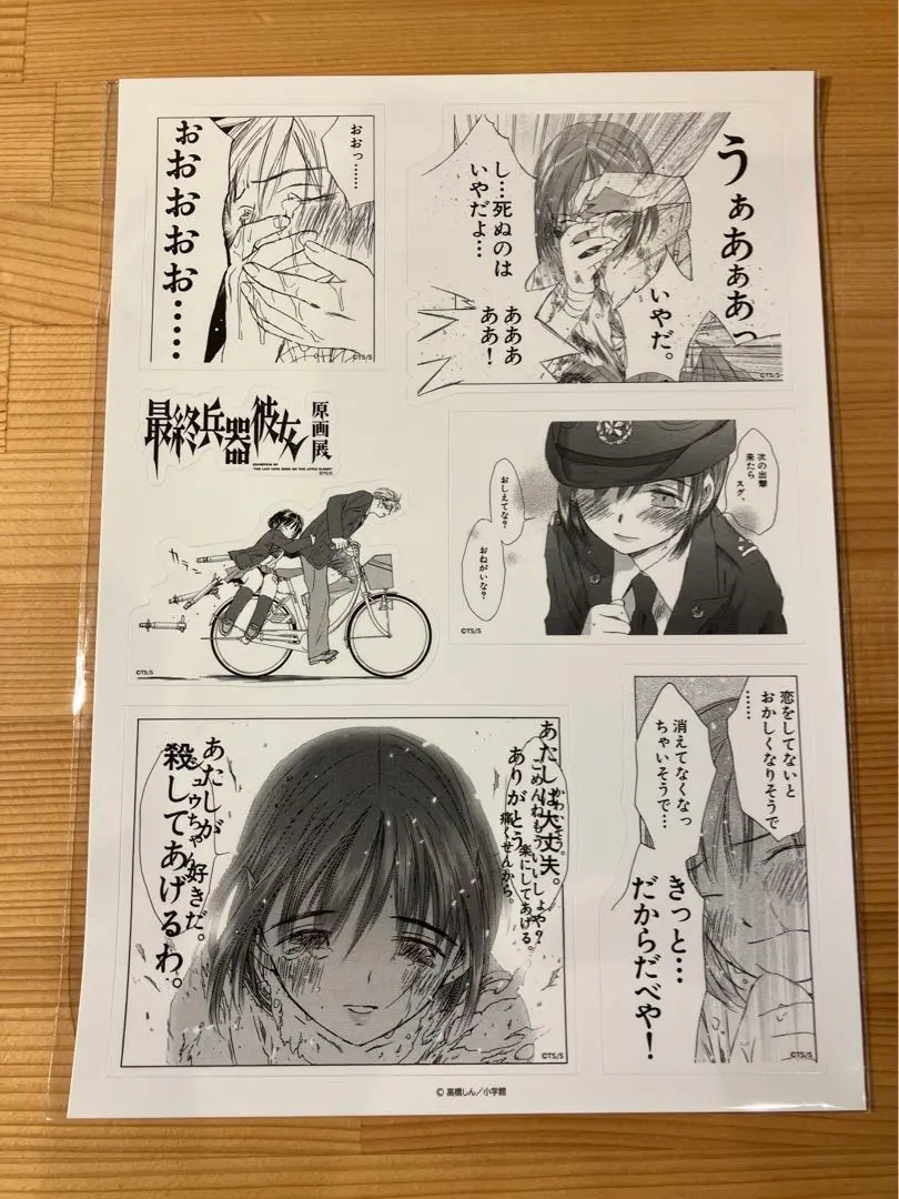 最終兵器彼女　原画展　キャンバスアート　原作イラスト Amazon.co.jp: 最終兵器彼女 原画展 キャンバスアート 原作
