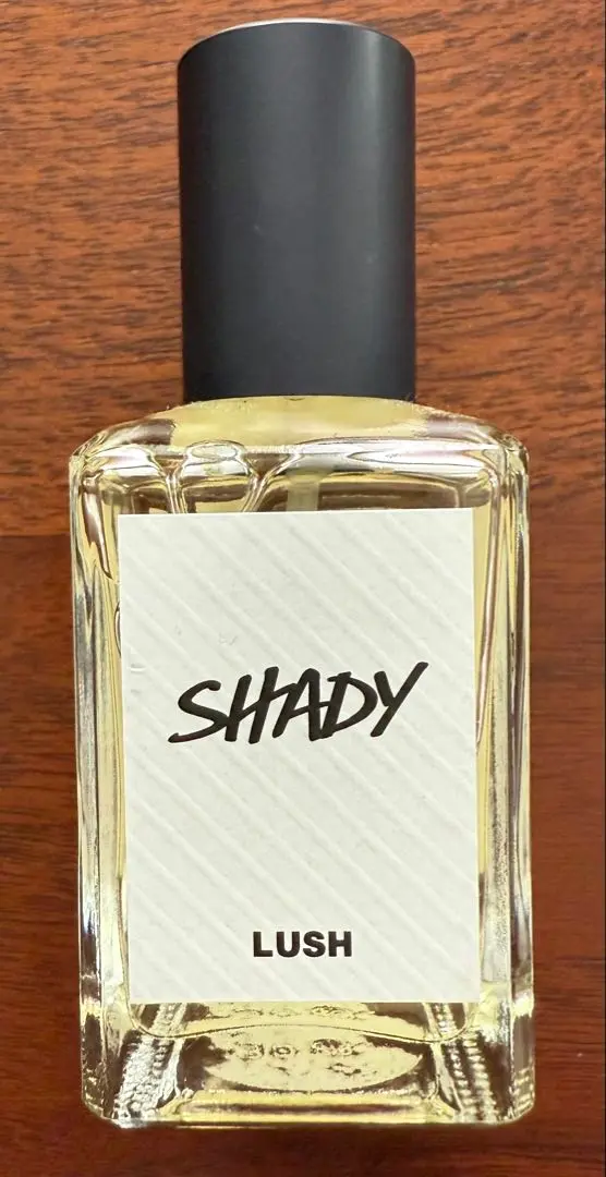 2025年最新】shady lushの人気アイテム - メルカリ