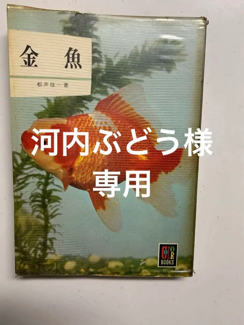 百万人の金魚 松井佳一 監修 040078 百万人の金魚 松井佳一 監修 040078の通販 by もりもりショップ