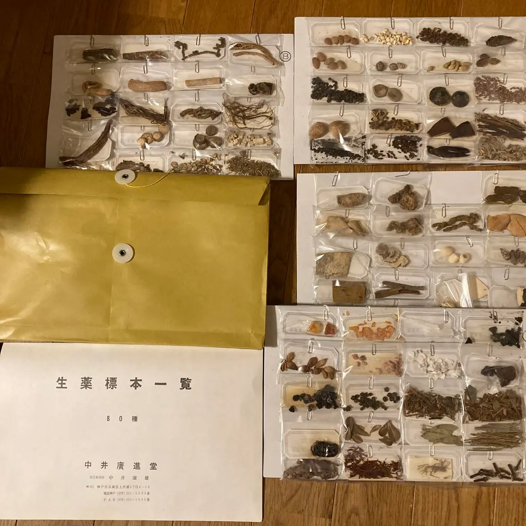 生薬　標本　一覧　80種　中井廣進堂　漢方　薬膳 生薬 標本 一覧 80種 中井廣進堂 漢方 薬膳