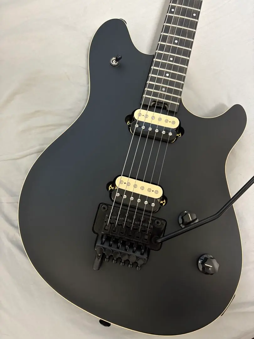 2025年最新】musicman EVHの人気アイテム - メルカリ