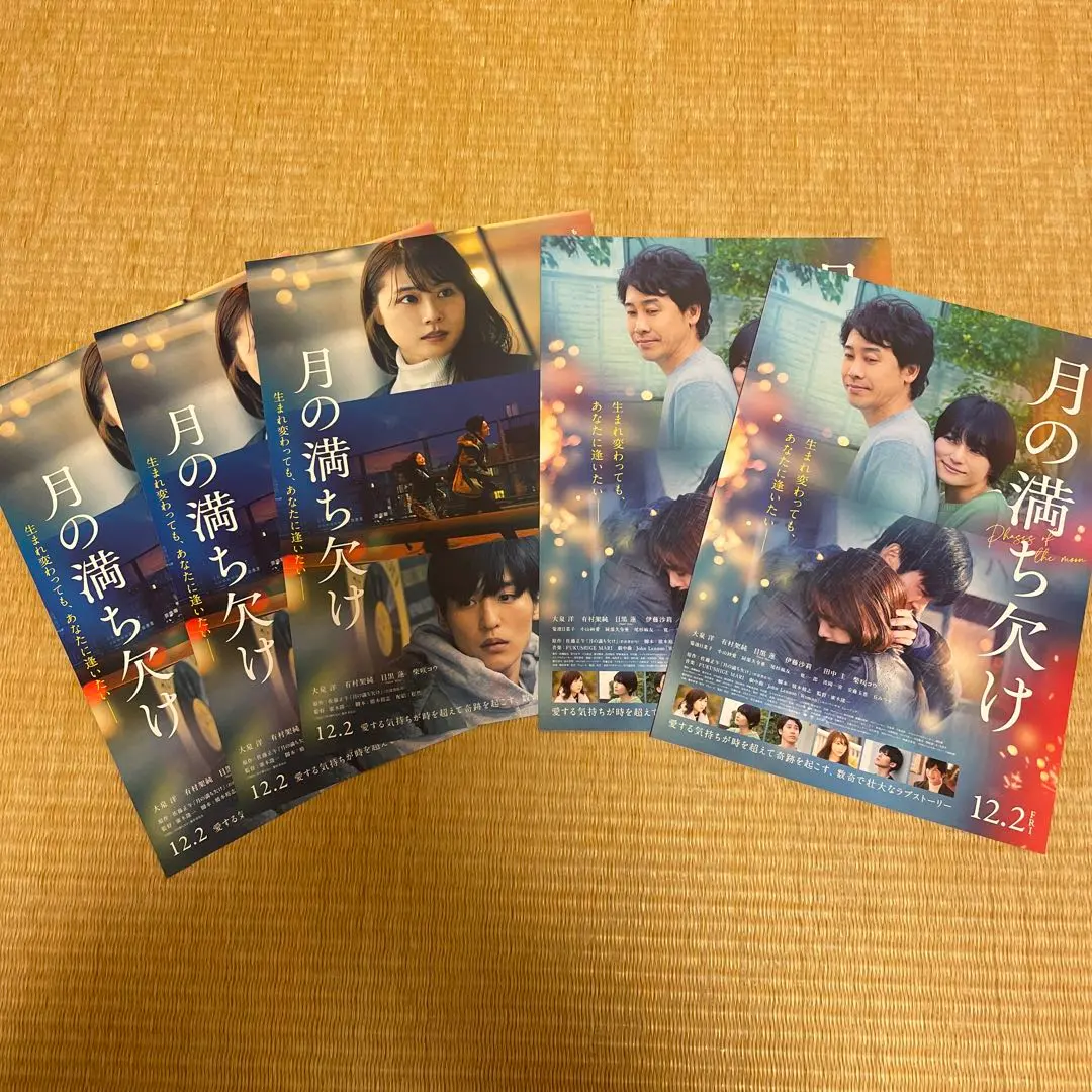 Thumbnail of Set of 5 Moon Phase Flyers