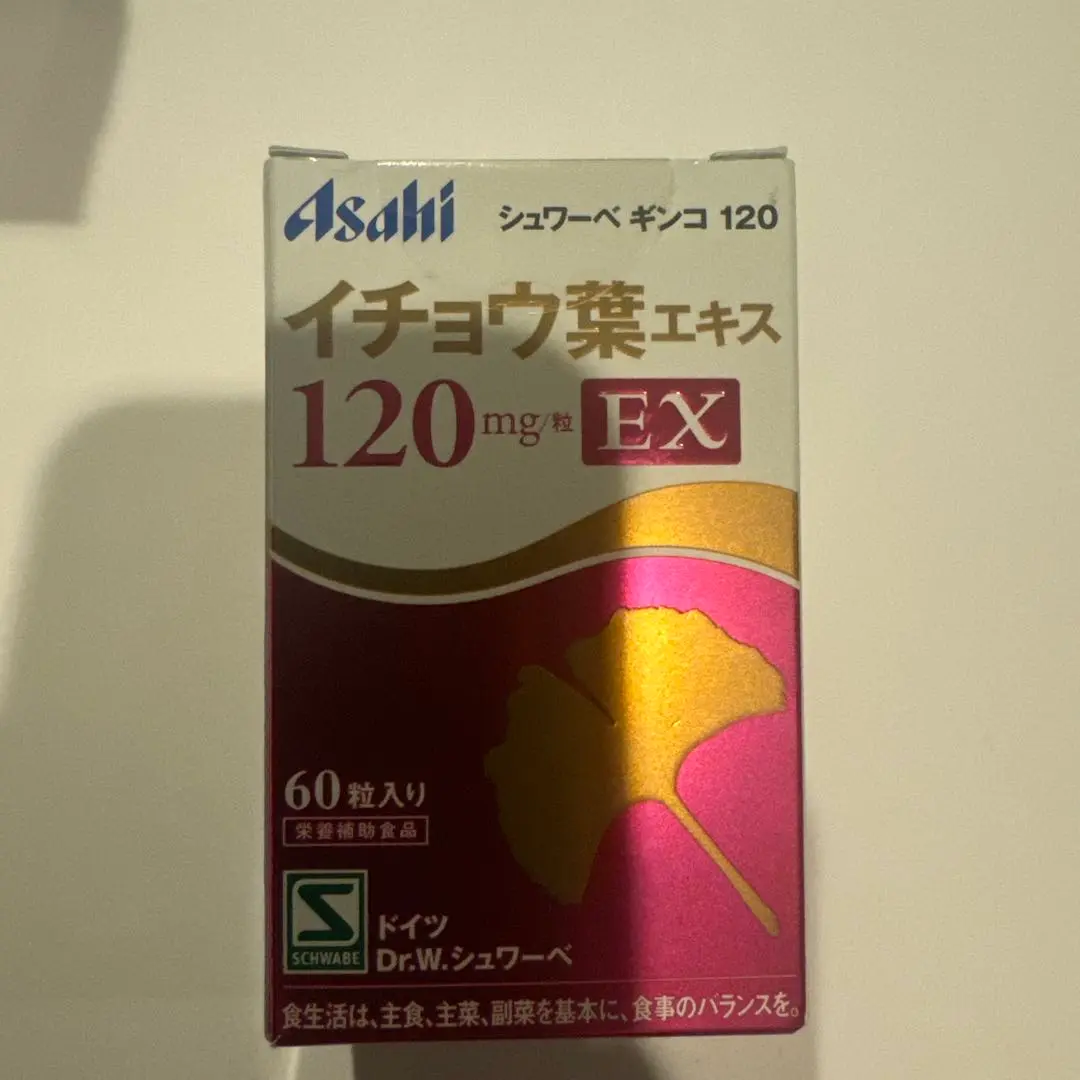 ナチュラルメディスン　ギンコ ☆新品 ナチュラルメディスン ギンコ 120 GINKGO 60粒 2026年02