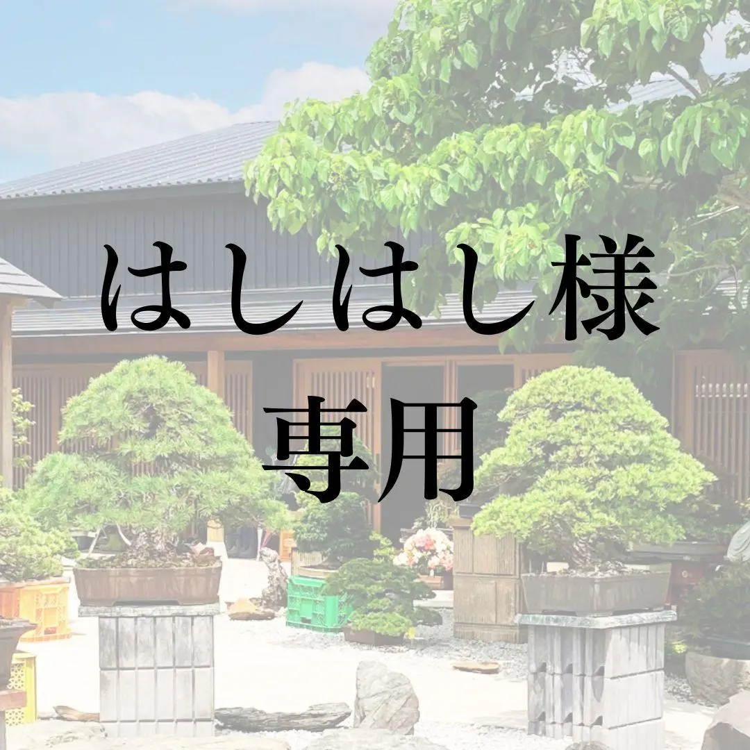 2025年最新】陶翠 盆栽鉢の人気アイテム - メルカリ