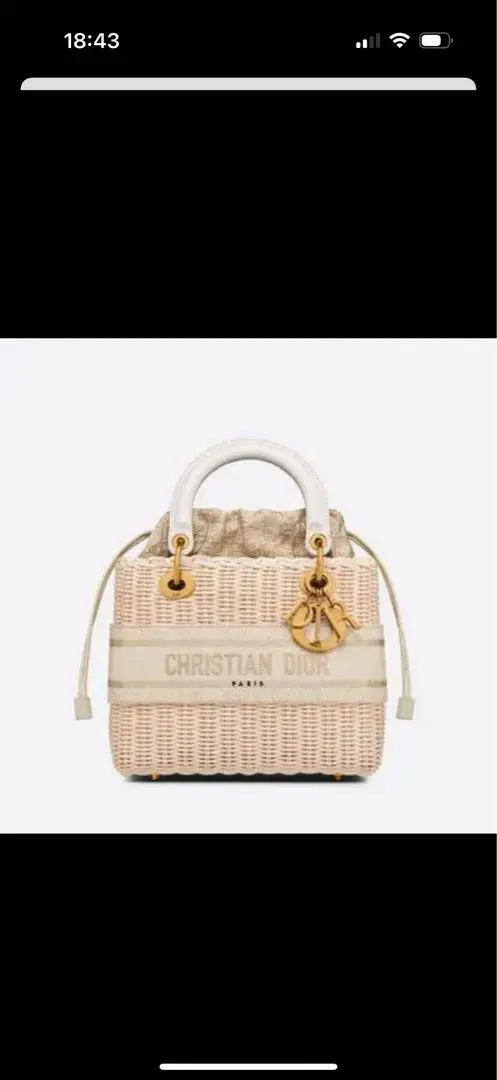 Christian Dior かごバッグ 未使用　正規品 Christian Dior - 超美品！102万円相当‼︎Christian Diorカゴ