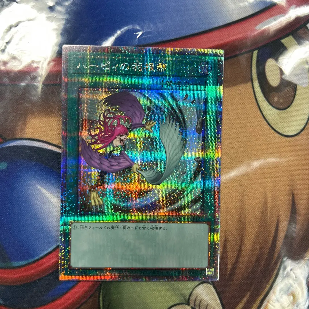 遊戯王　25th ハーピィレディSB コンダクターなど　まとめ売りセット Amazon.co.jp: 遊戯王OCG ハーピィ・レディ・SB ノーマル TP12