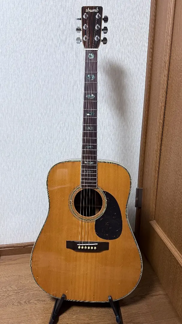 Big thumb BW-25寺田楽器 アコースティックギター ケース付き Big thumb BW-25寺田楽器 アコースティックギター ケース付き