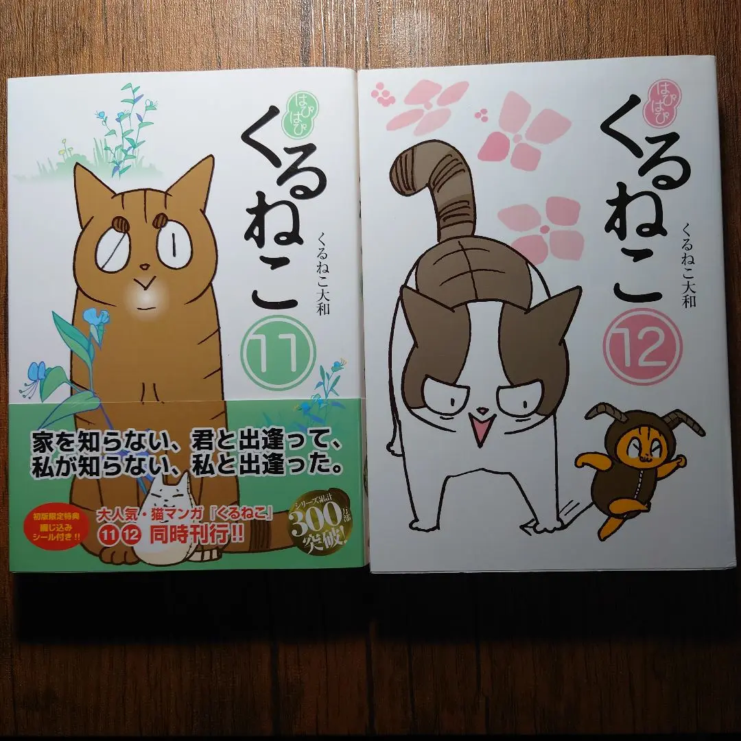 2025年最新】はぴはぴ くるねこ 11の人気アイテム - メルカリ