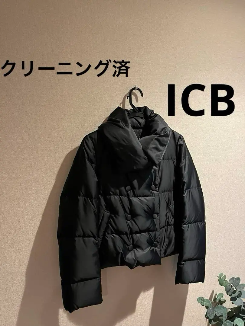 2025年最新】iCB カラー：ブラック系 ダウンジャケットの人気
