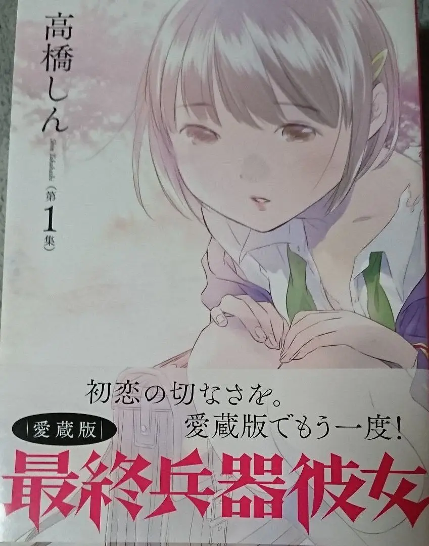 【貴重✨全巻初版・帯付き・全巻新品未開封】最終兵器彼女 愛蔵版 全巻セット 貴重✨全巻初版・帯付き・全巻新品未開封】最終兵器彼女 愛蔵版
