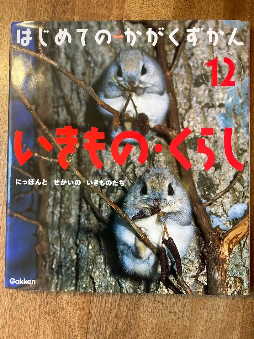 学研 はじめてのかがくずかん 12冊セット はじめてのかがくずかん 12冊セットの通販 by sky's shop｜ラクマ