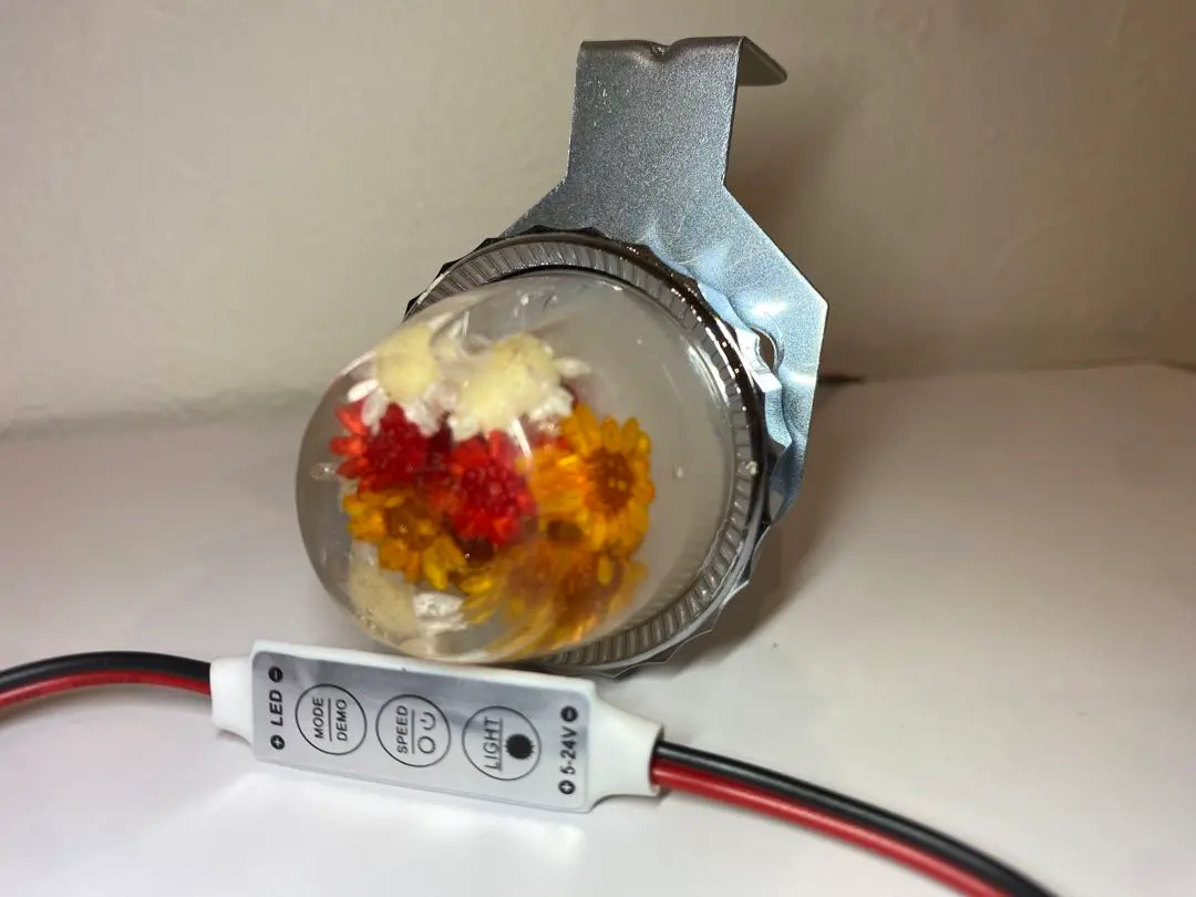 ウィンカー　蛍ランプ　 小型 LED 水中花 モンキー ダックス イベント用 Amazon.co.jp: ホタルランプ 蛍ランプ シャリーモンキーゴリラ