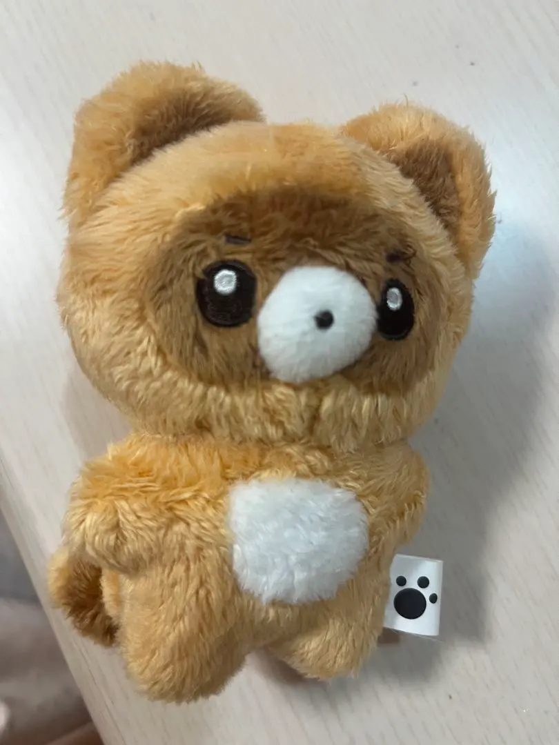 Thumbnail of Zhang Hao Plush Master