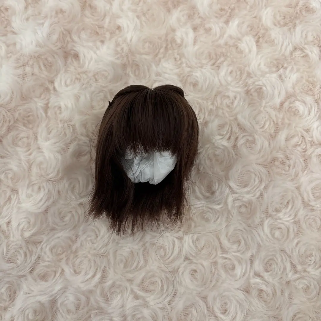 Thumbnail of You SD size Aimu default wig