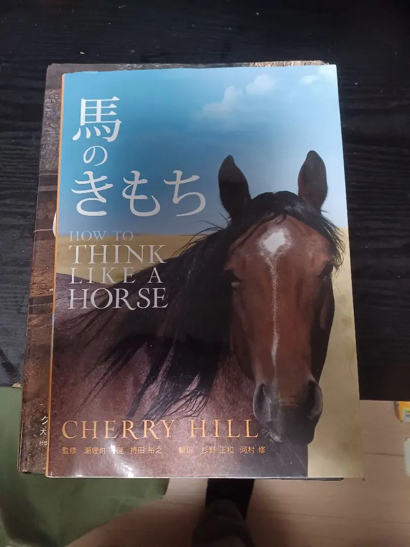 2025年最新】馬のきもちhow to think like a horseの人気