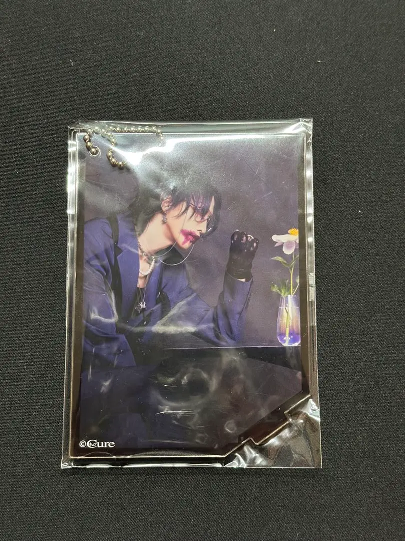 零[Hz] TEIKA アクスタ Amazon.co.jp: 零Hz TEIKA アクスタ アクリルスタンド 缶バッジ