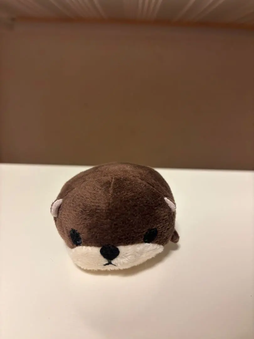 Thumbnail of Small otter plush toy