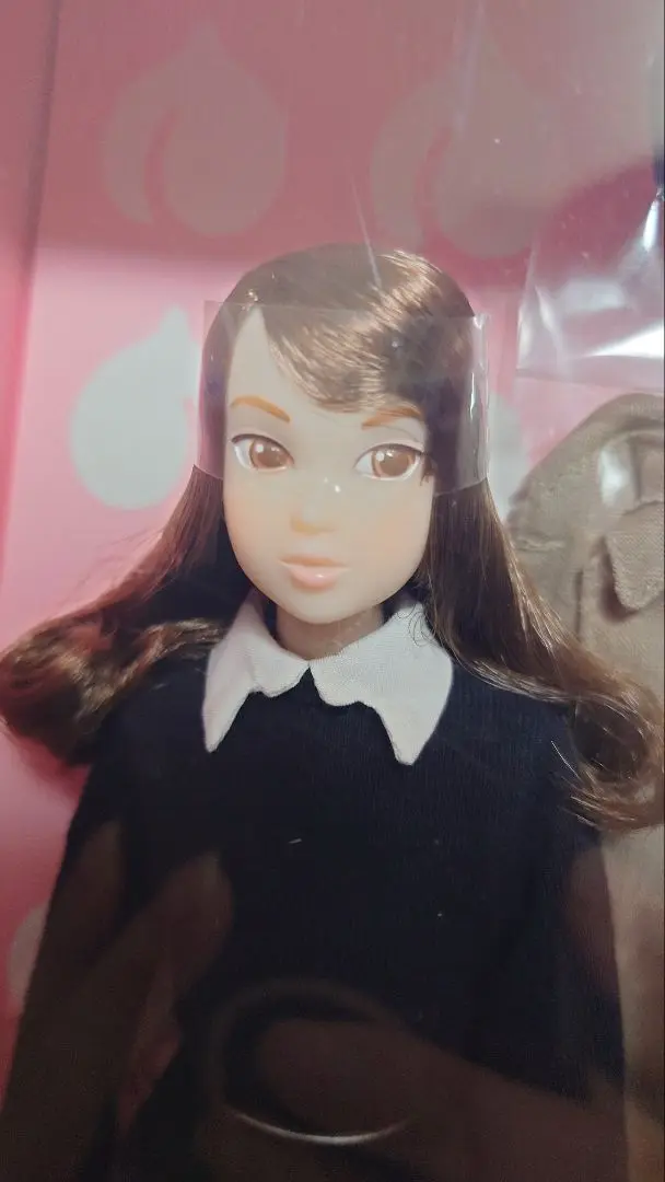 momoko DOLL モモコドール 君の去ったホーム 完成品ドール