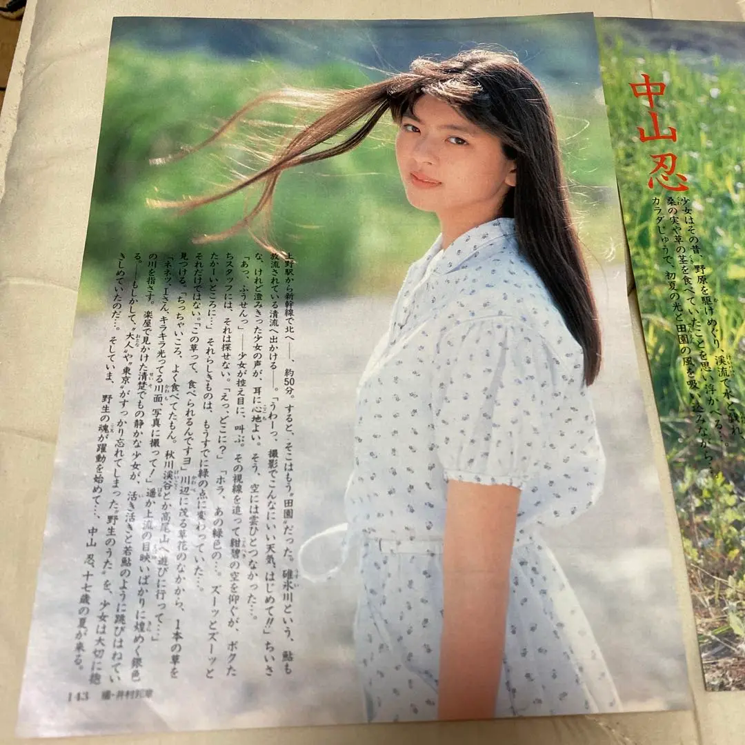 中山忍　1988年〜1992年 大量　切り抜き　ファイル　2冊　120P Yahoo!オークション - 中山忍 1988年～1992年 大量 切り抜き