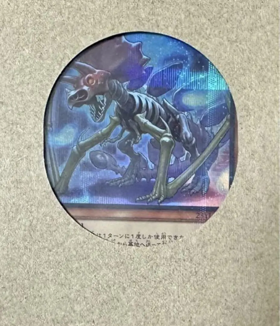 2025年最新】ミセラサウルス ウルトラの人気アイテム - メルカリ