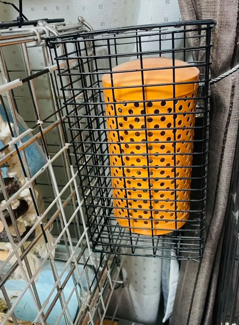 Thumbnail of 13★ Pet Heater, Heat Bulb, Cover, Protective Case, Mesh, Bird, Anti-Mischief