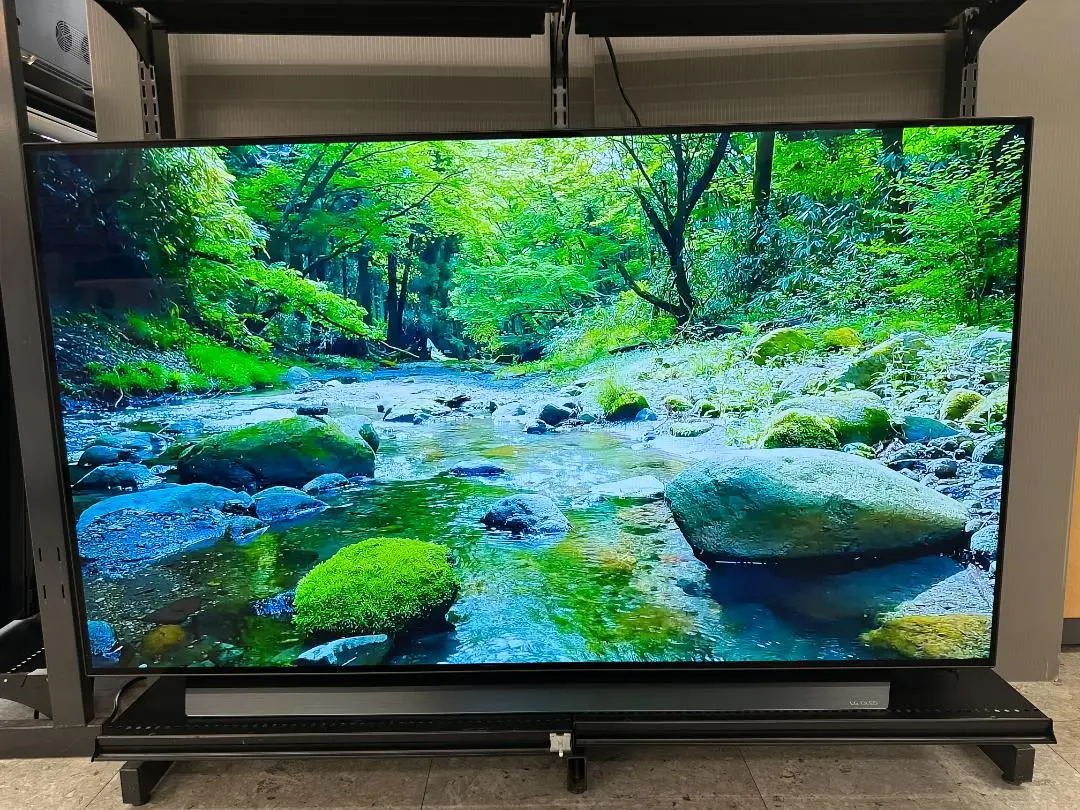 2025年最新】oled55cxpjaの人気アイテム - メルカリ