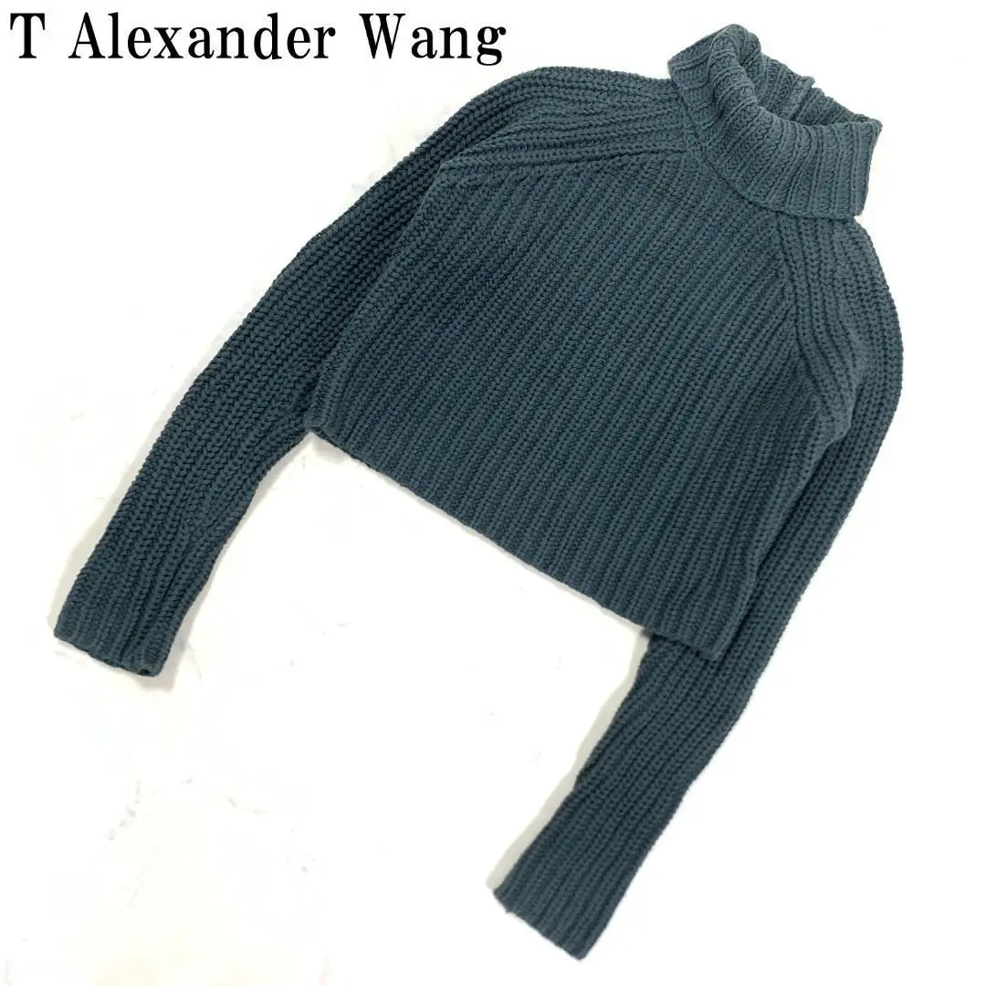 ※谷さま専用※ALEXANDERWANGアレキサンダーワン タートルネックニット 2025年最新】アレキサンダーワン タートルの人気アイテム - メルカリ