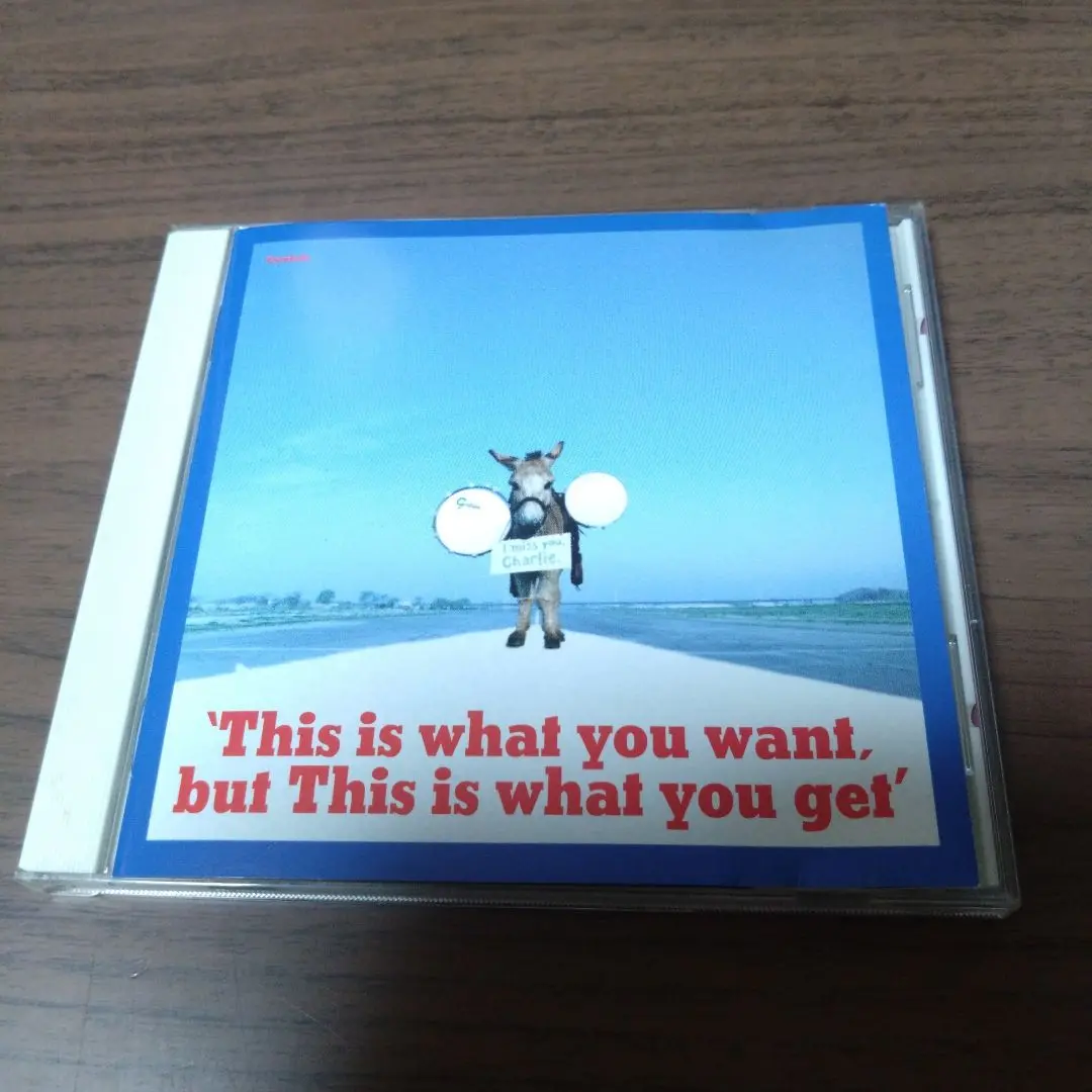 Cymbals That's Entertainment LP レコード CYMBALS / THAT'S ENTERTAINMENT / LP (L) - 中古レコード通販