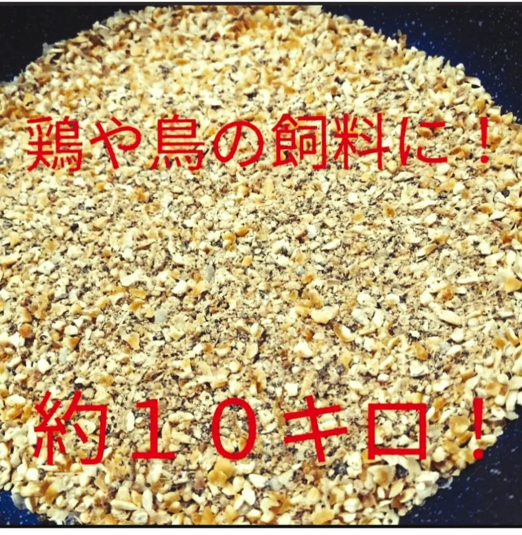 令和6年度 くず米 鳥のエサ 24kg 令和6年産 飼料用 肥料用 くず米 20kg クズ米 玄米 鳥のエサ