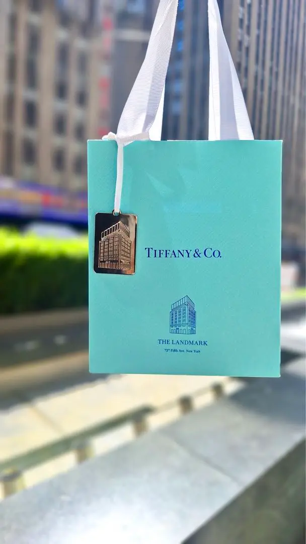 レア★Tiffany & Co.★ブルーバッグチャームペンダント 楽天市場】ティファニー ネックレス ショッピングバッグ