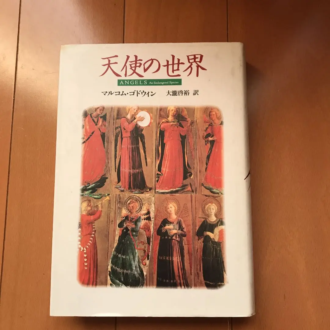 【中古】 天使の世界 新装版/青土社/マルコム・ゴドウィン 2025年最新】マルコムゴドウィンの人気アイテム - メルカリ