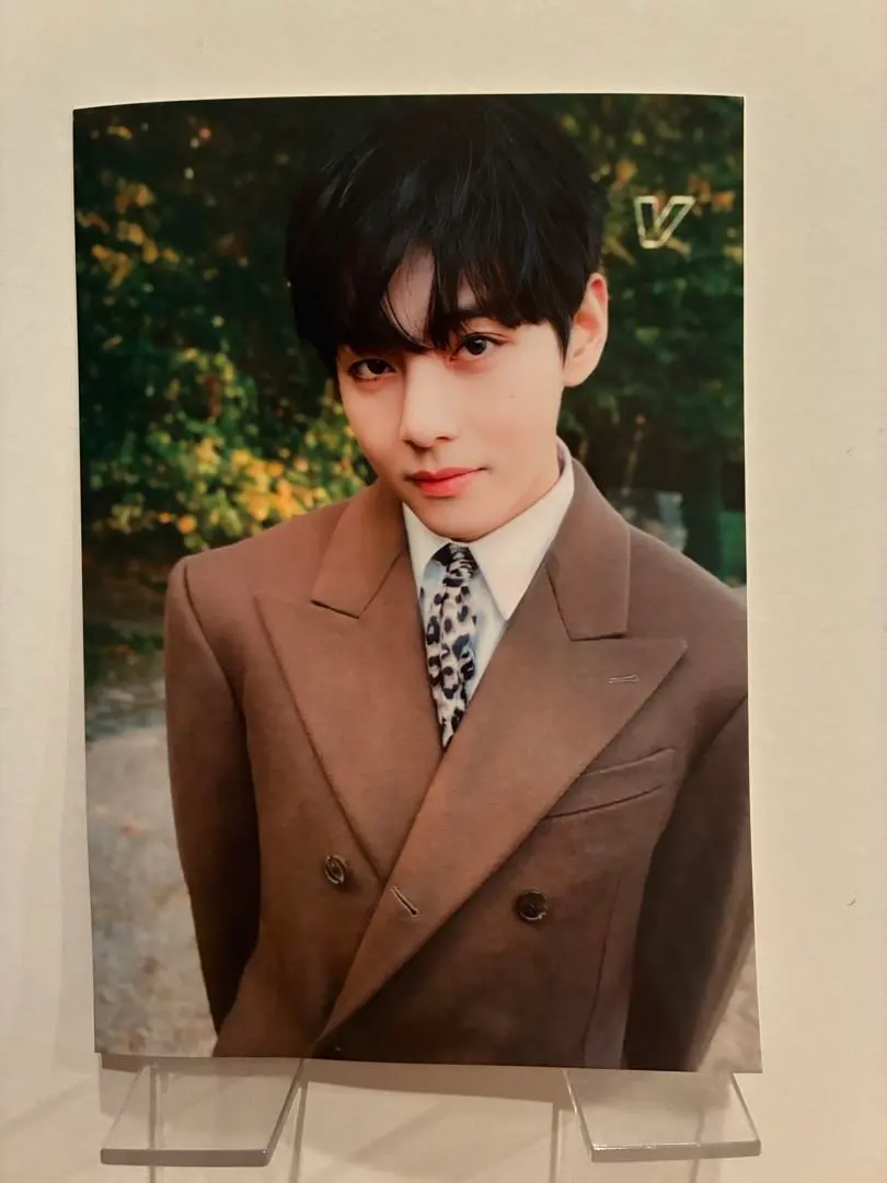 Thumbnail of Taehyung (V) Celine Photo