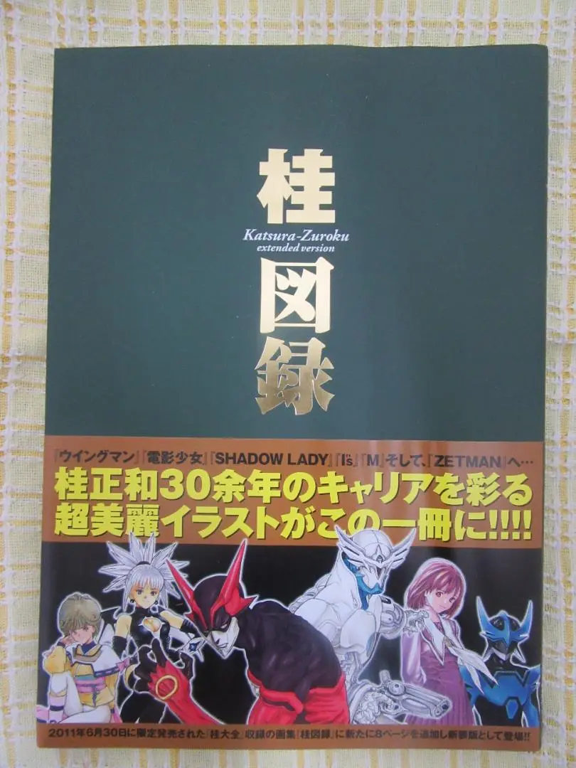 絶版 初版本 桂正和 YJ愛蔵版 桂図録 extended version 絶版 初版本 桂正和 YJ愛蔵版 桂図録 extended version - アート