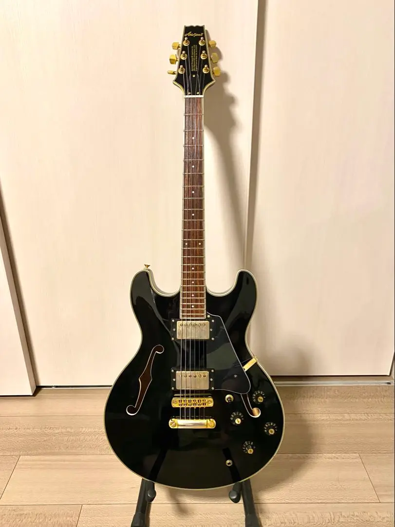 【訳あり】Aria ProⅡ TA-Ⅲ セミアコースティックギター セミアコ 早割クーポン！ ProⅡ 訳あり】Aria TA-Ⅲ セミアコ セミ