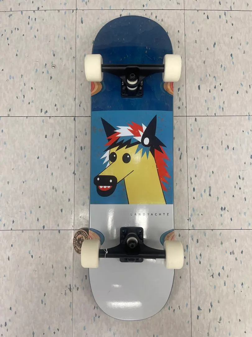 LANDYACHTZ ロングボード 　ロンスケ　ランドヤッツ ランドヤッツロングボード サイドウォーカー35 ホローテック