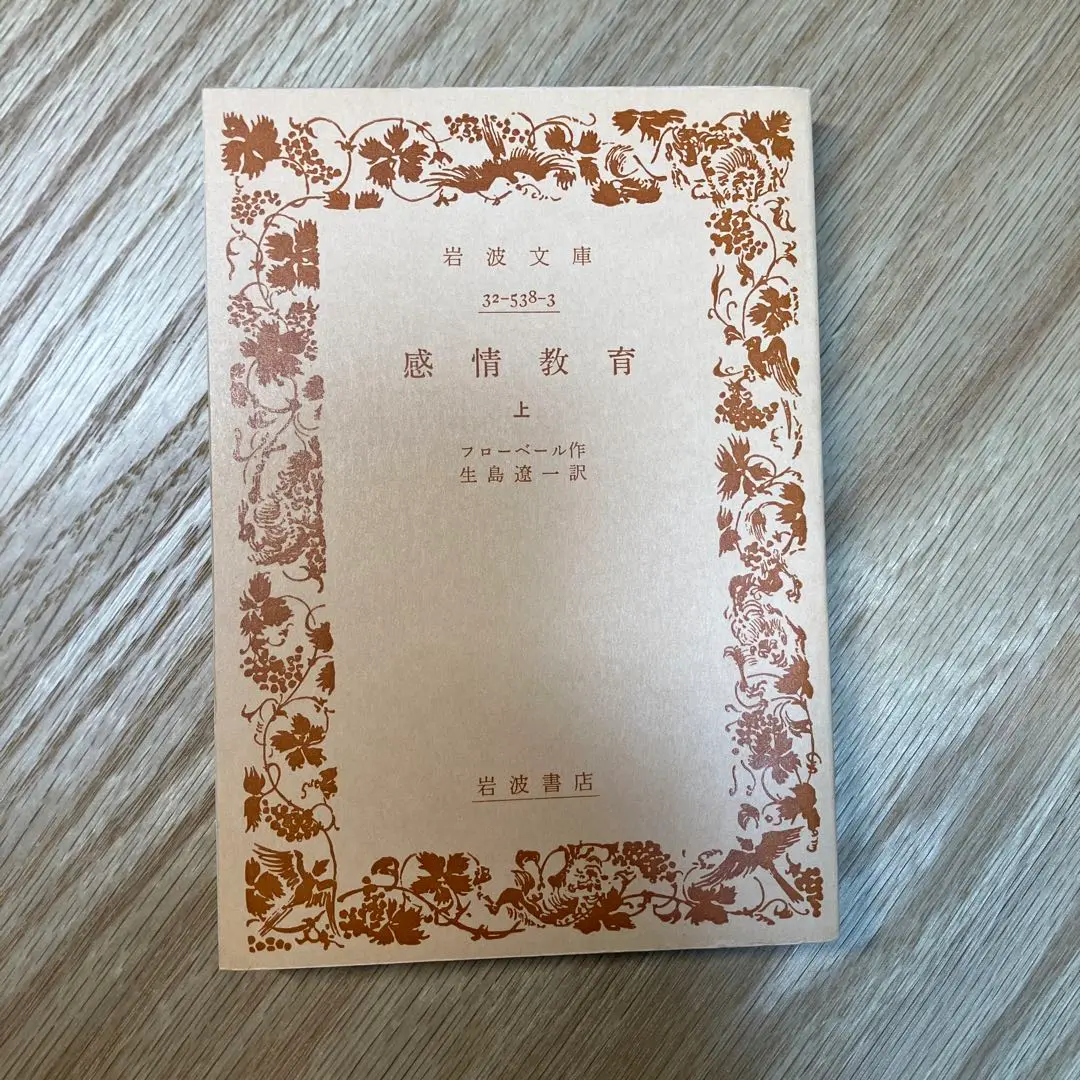 【中古】 感情教育 下/河出書房新社/ギュスターヴ・フローベール Amazon.co.jp: 感情教育(上) (古典新訳文庫) : フローベール