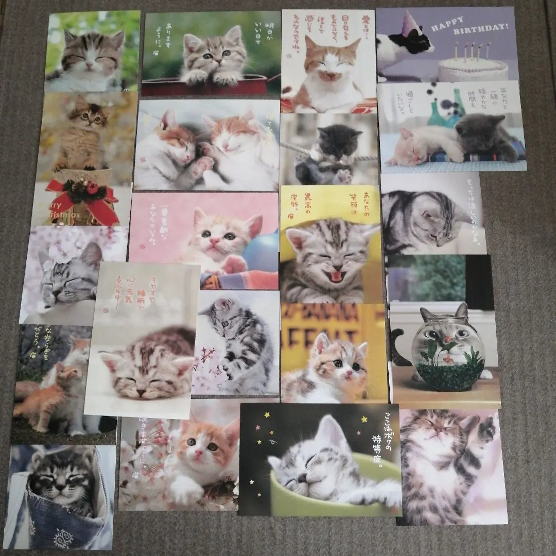 Thumbnail of Cat Postcard Set - 21 Cards