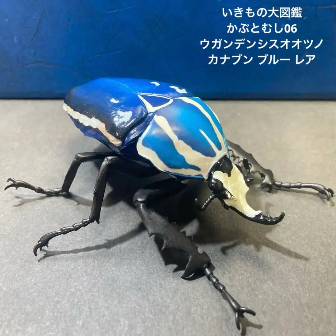 m17785770073_1.jpg?1728561295