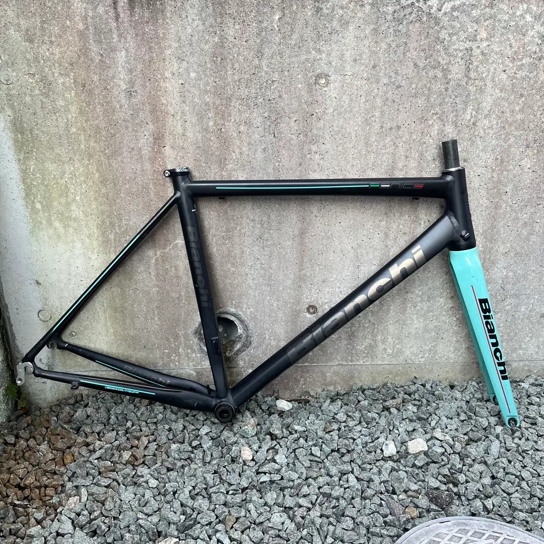 【専用】Bianchi fenice pro 53サイズ フレームセット 最終値下】Bianchi fenice pro 53サイズ フレームセット
