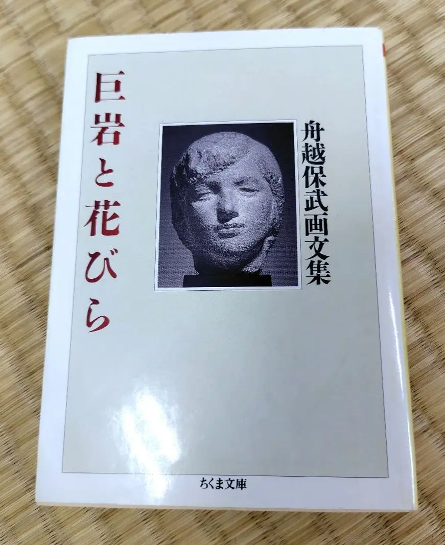 2025年最新】舟越保武画文集巨岩と花びらの人気アイテム - メルカリ