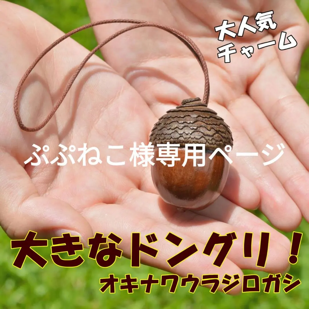 2025年最新】オキナワウラジロガシの人気アイテム - メルカリ