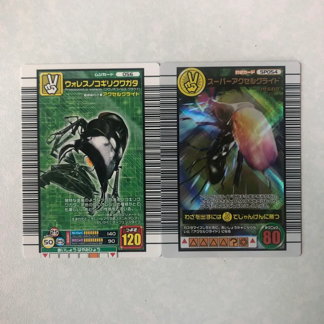 ムシキング 5周年 第2弾 スーパーアクセルグライド 専門店では ムシキング 5周年第2弾 スーパーアクセルグライド