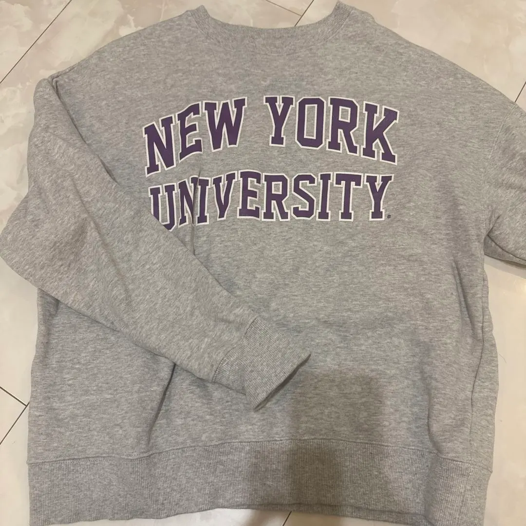 Thumbnail of Trainer