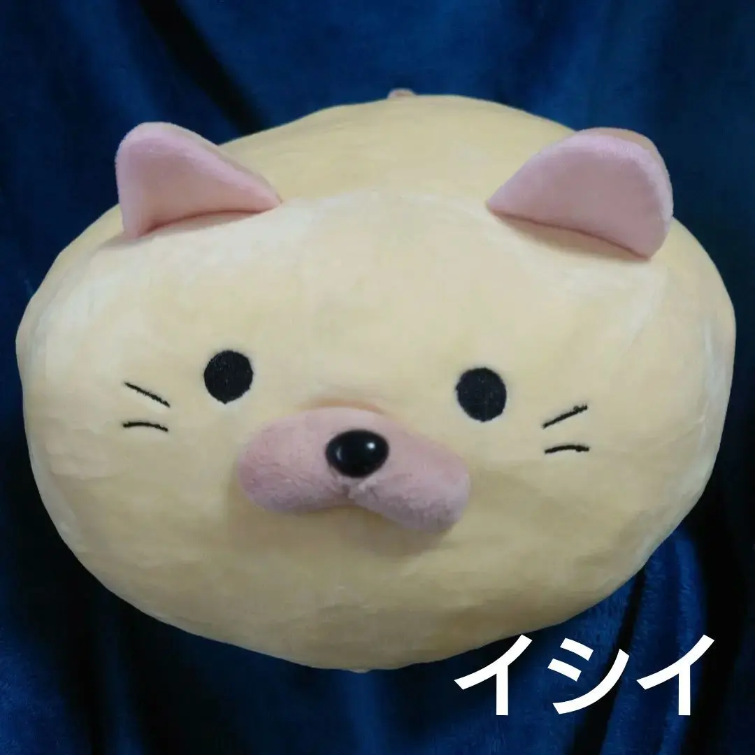 新品 タグなし 訳あり のびるよ にゃもち！ らむね ごろねこサミット