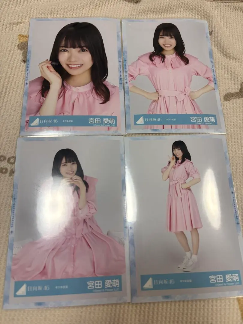 Thumbnail of Manamo Miyata Fox