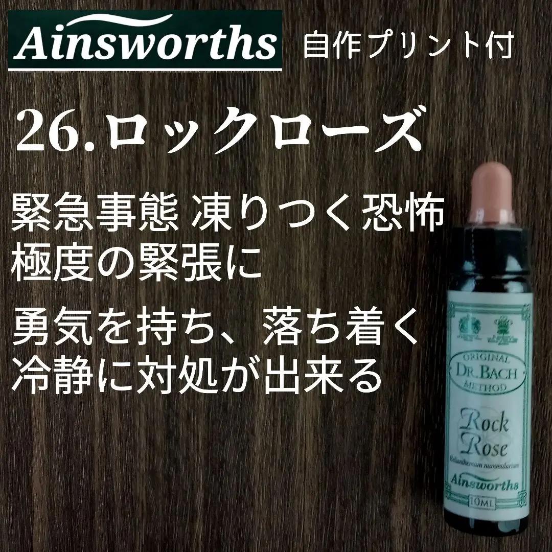 エインズワース　フラワーエッセンス　バッチフラワー　セット エインズワース バッチフラワーエッセンス10ml 40本キット