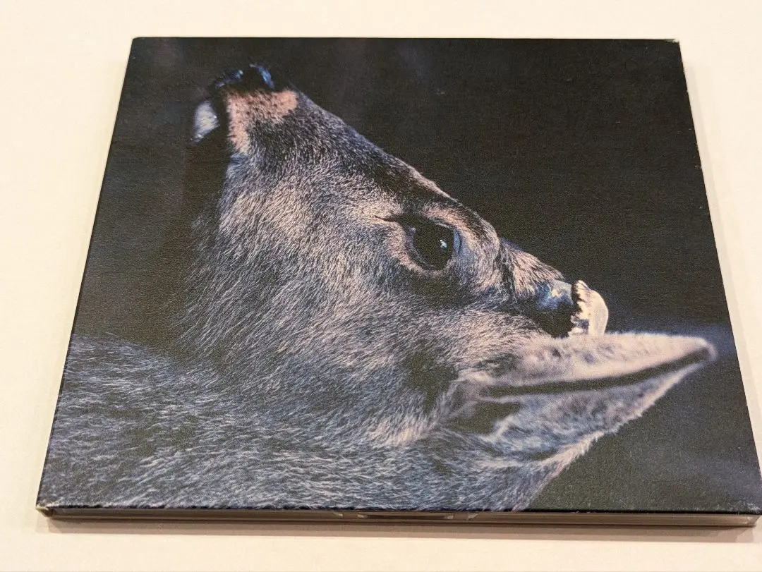 未使用品レコード　toe　The Book About My Idle Plot Topshelf Records - toe - the book about my idle plot on a